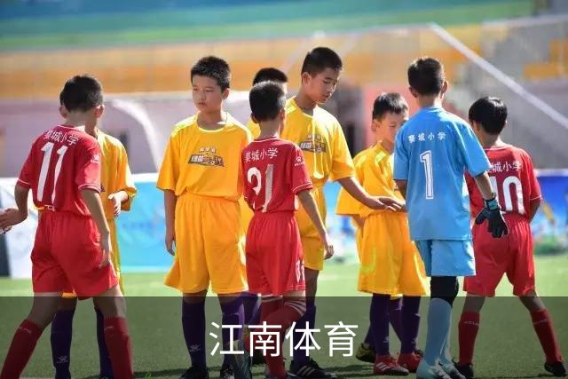 江南体育公司介绍